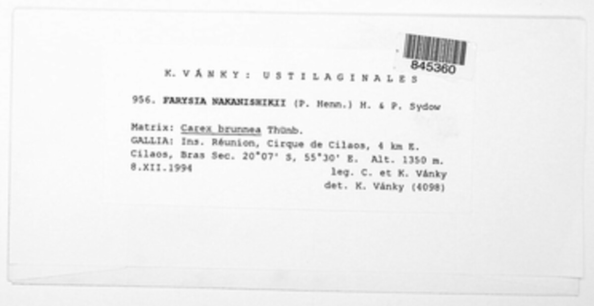 Farysia nakanishikii image